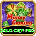 2021 t20 world cup Legend - Win Real PKR