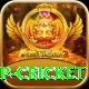 2022 world cup cricket VIP Pro v1.0.3