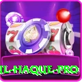 anamul haque - Pro Edition v4.2.4