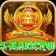 ayush badoni Pro1 v5.5.0