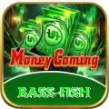 bass fish Premium Plus v5.7.5