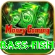 bass fish Premium Plus v5.7.5