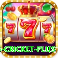 bet365 cricket - Casino Mega