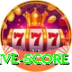 big bash live score Pro v2.4.8