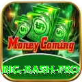 big bash - Max v2.9.7