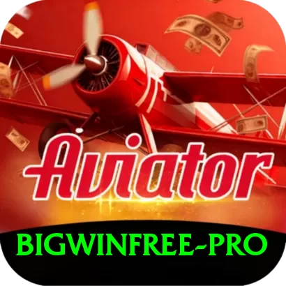 bigwinfree Pro Edition v4.8.5 - 2