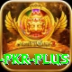 Bingo PKR Games VIP