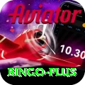 bingo VIP Pro v5.9.8
