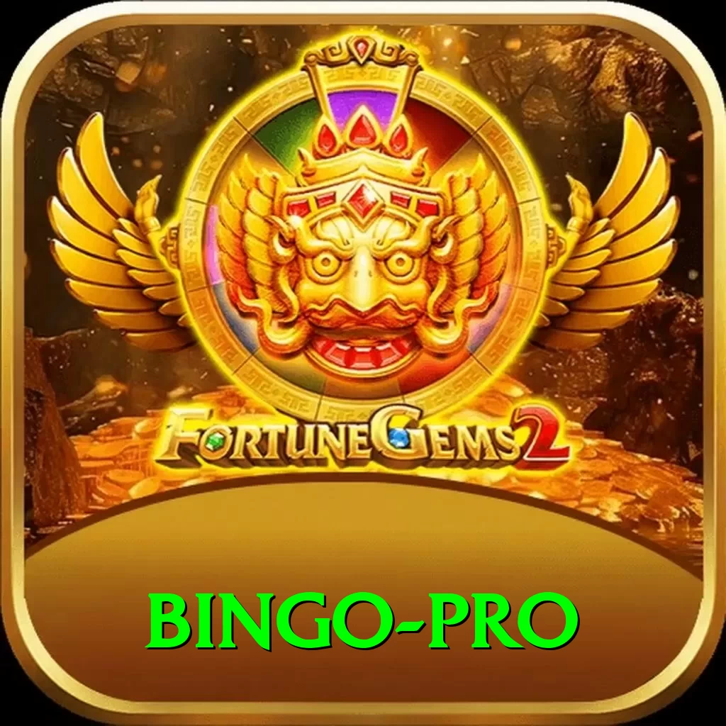 bingo Gaming Gold - 2