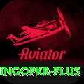 bingopkr Games (Casino & Earning) Deluxe v4.5.4