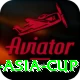 cricbuzz asia cup VIP