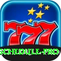cricket match schedule Pro Latest v2.6.5