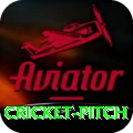 cricket pitch Apps (Tools & Injectors) Gold v4.0.1
