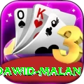 dawid malan Plus Pro v4.7.2