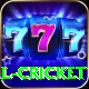 defending total cricket Master Pro v2.4.5