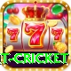 early payout cricket Premium v1.5.5