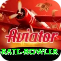 economy rate bowler Pro Edition v1.3.4
