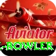 economy rate bowler Pro Edition v1.3.4