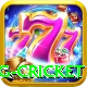 eng cricket Plus