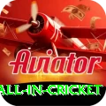 fastest ball in cricket Premium Edition v5.7.7