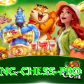 flying chess Game Pro v3.8.5