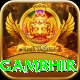 gautam gambhir Games (Casino & Earning) Master v5.8.8