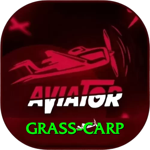 grass carp VIP Pro v3.6.9 - 2