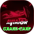 grass carp VIP Pro v3.6.9