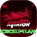 hong kong cricket team VIP Edition v2.7.9