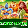 india cricket match Apps (Tools & Injectors) Turbo v3.6.6