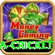 india sri lanka cricket Gold v2.8.4