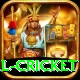international cricket Elite v5.5.2