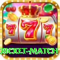 international cricket match Plus v1.5.2