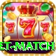 international cricket match Plus v1.5.2