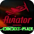international cricket - Plus Earning App