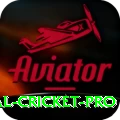 international cricket King Casino App