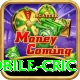 mobile cric Deluxe Pro v1.7.7