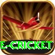 mobile cricket Turbo v3.6.6
