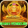 naseem shah yorkers Plus v2.1.8