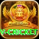 ndtv cricket Gold Pro v5.7.2