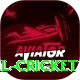 nepal cricket Elite v5.3.9
