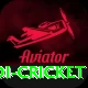 odi cricket Deluxe Edition v4.0.8