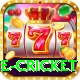 one cricket Ultimate v5.6.0