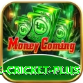 online cricket - Live Turbo
