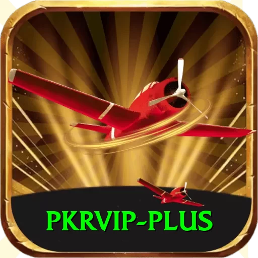 pkrvip Pro v2.0.4 - 2