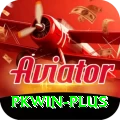 pkwin Master Pro v4.6.9