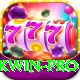 pkwin Pro