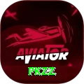 PKZZ Pro1 v5.8.8