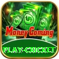 play cricket Plus Pro v3.3.8