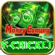 play cricket Plus Pro v3.3.8